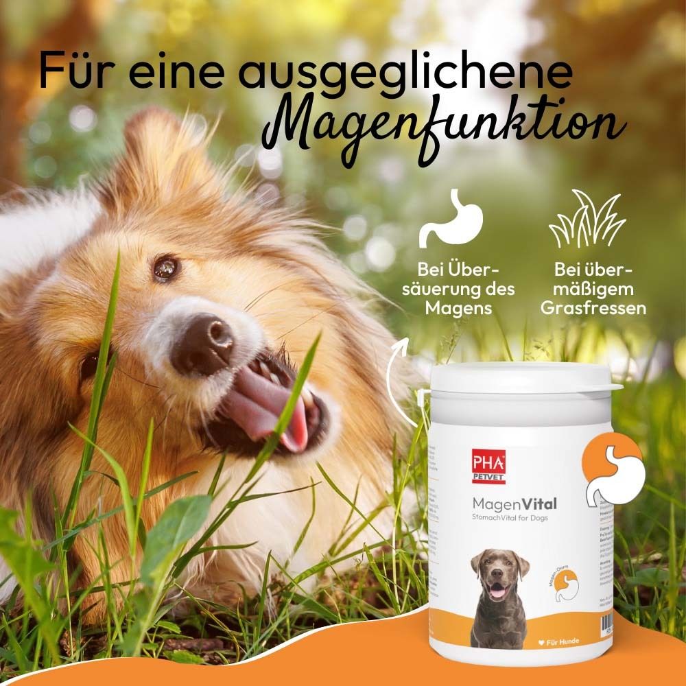 Hund im Gras. Dose mit Aufschrift PHA PetVet MagenVital. Text: Für eine ausgeglichene Magenfunktion.