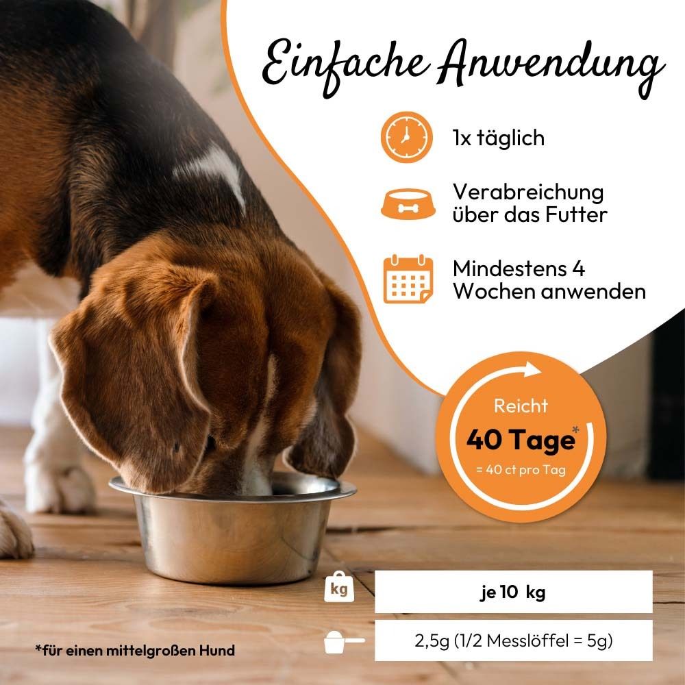 Hund frisst aus Napf. Dose mit Aufschrift PHA PetVet MagenVital. Text: Einfache Anwendung. 40 Tage.