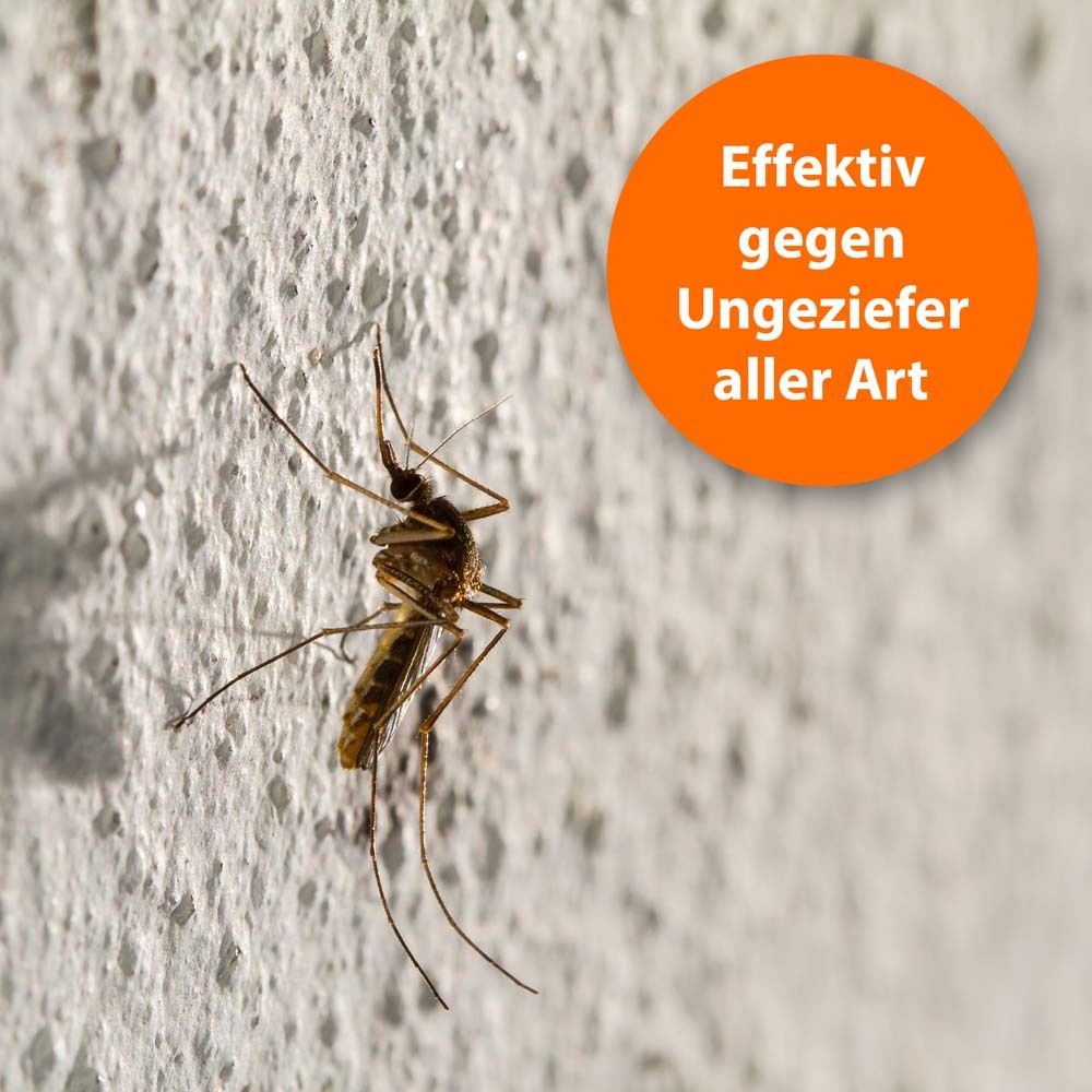 Insekt auf weißer Wand. Orangefarbener Kreis mit Text: Effektiv gegen Ungeziefer aller Art.