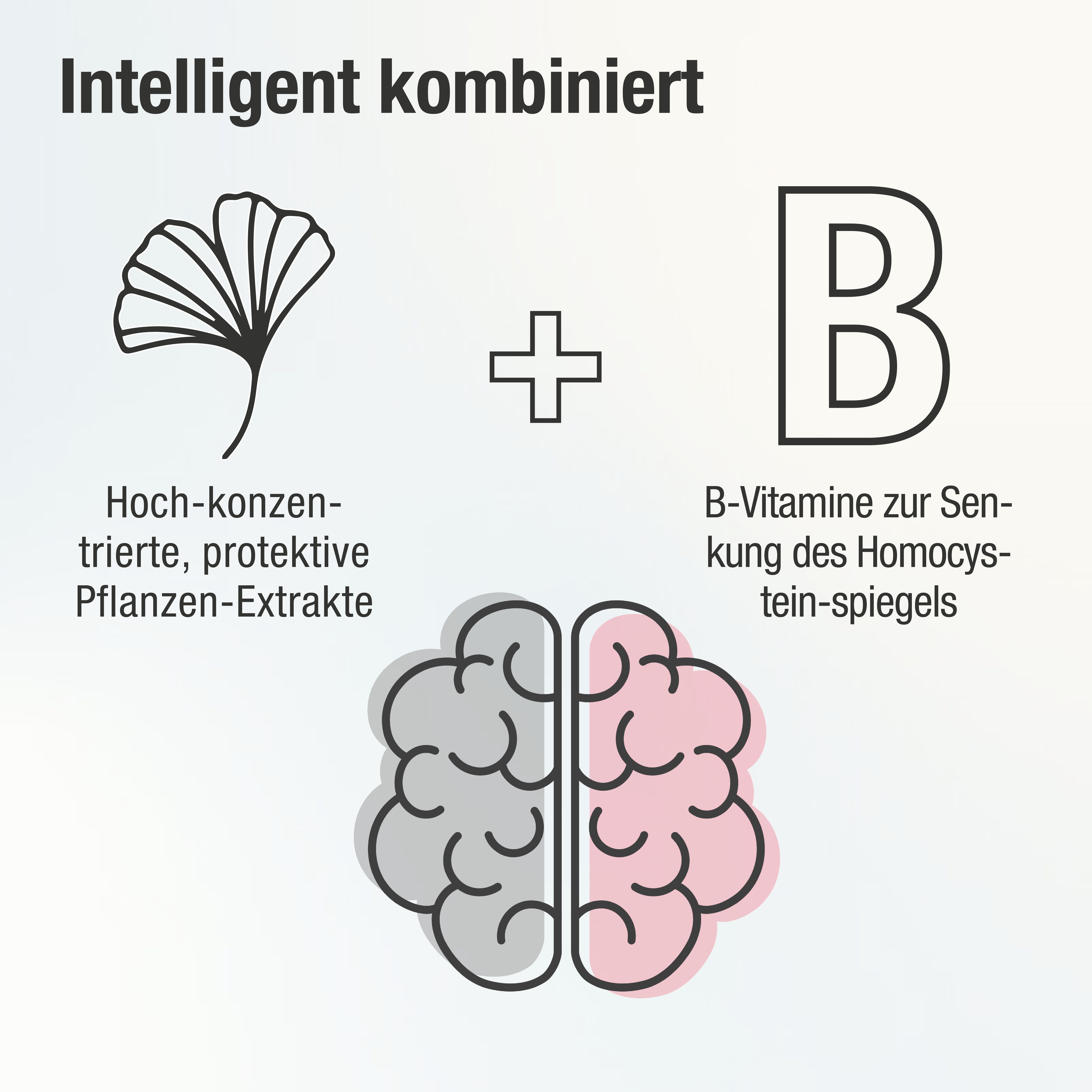 CogniPlus+ Der Gehirnkomplex