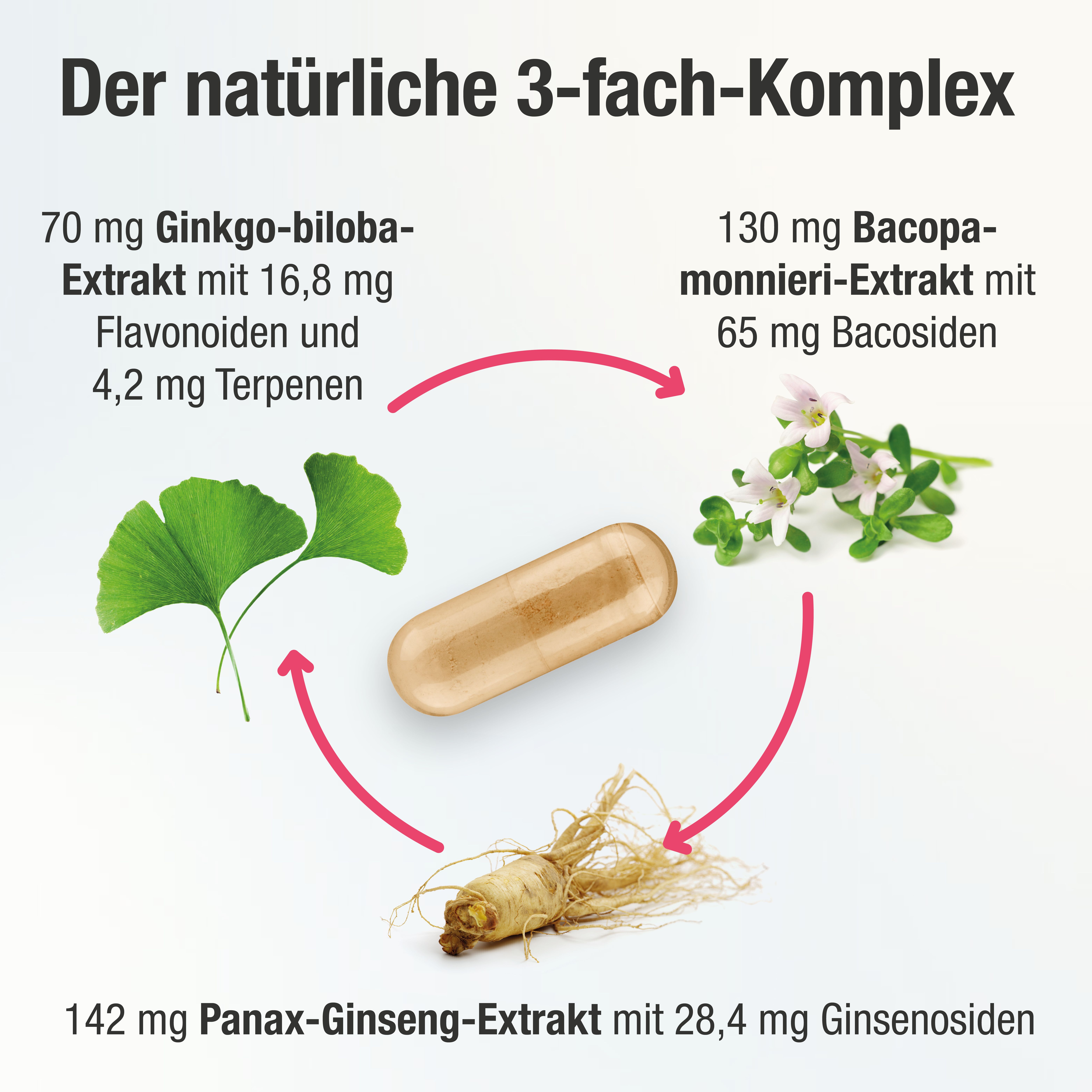 CogniPlus+ Der Gehirnkomplex