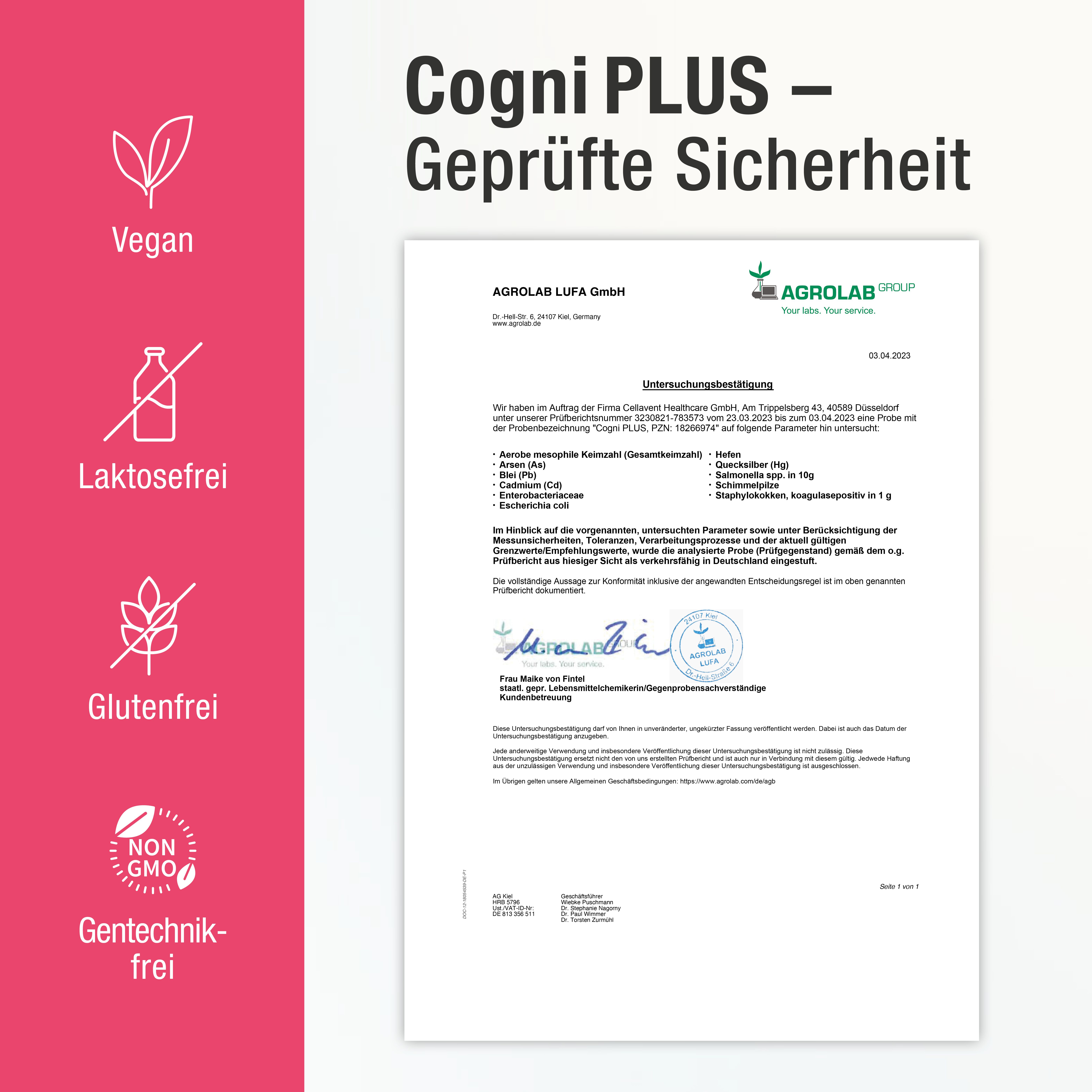 CogniPlus+ Der Gehirnkomplex