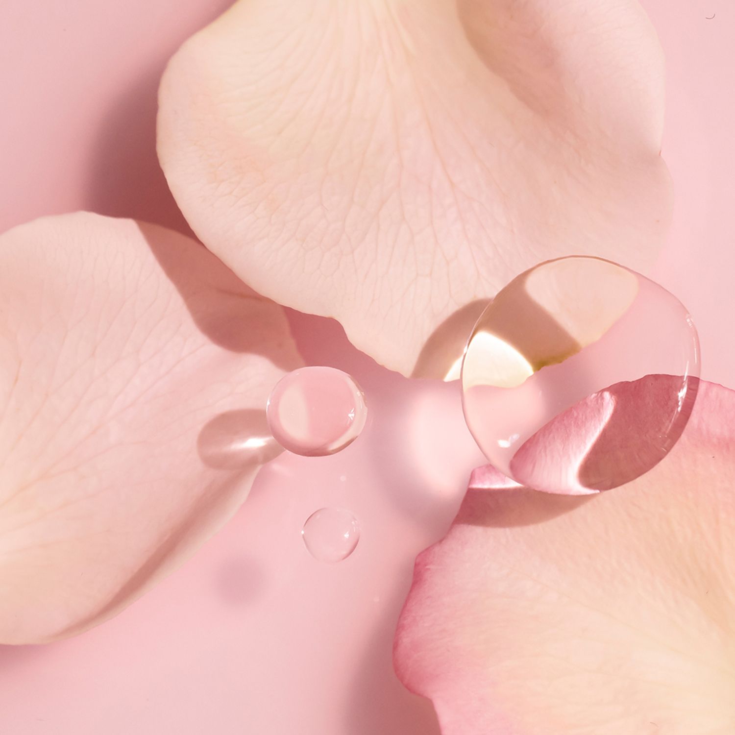 ANNEMARIE BÖRLIND LIP OIL Berry Rose