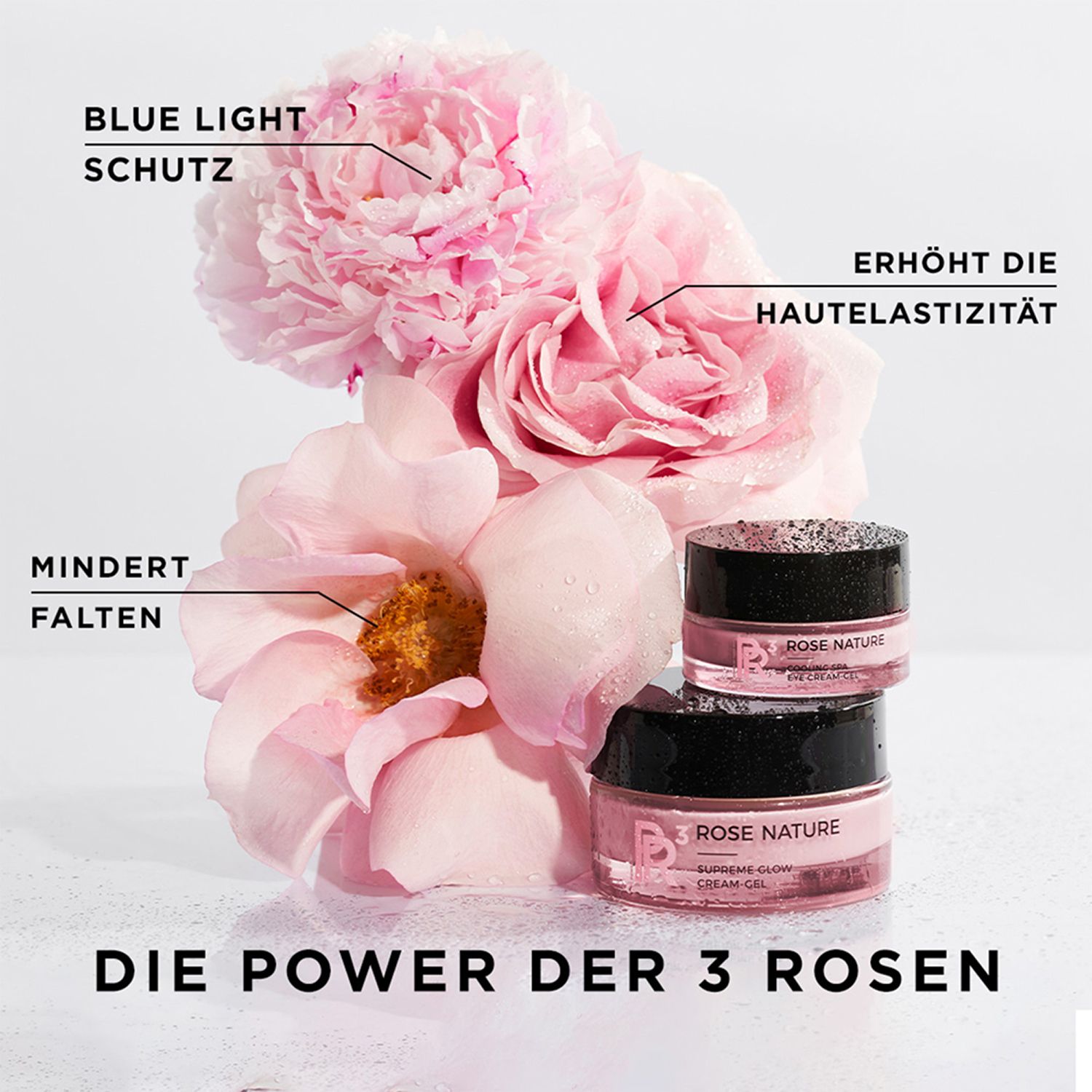 Drei Cremetiegel und Rosenblüten. Aufschrift: Rose Nature. Text: Die Power der 3 Rosen.