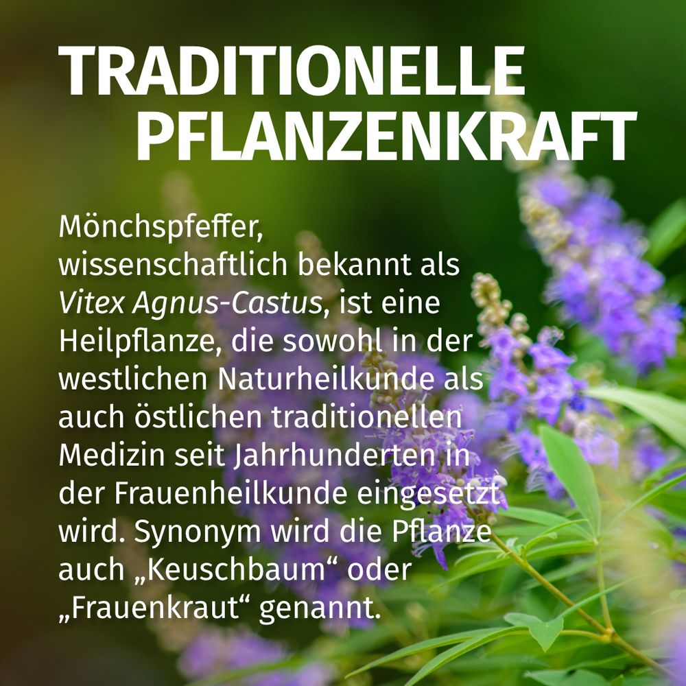 Text über Mönchspfeffer. Aufschrift: TRADITIONELLE PFLANZENKRAFT.