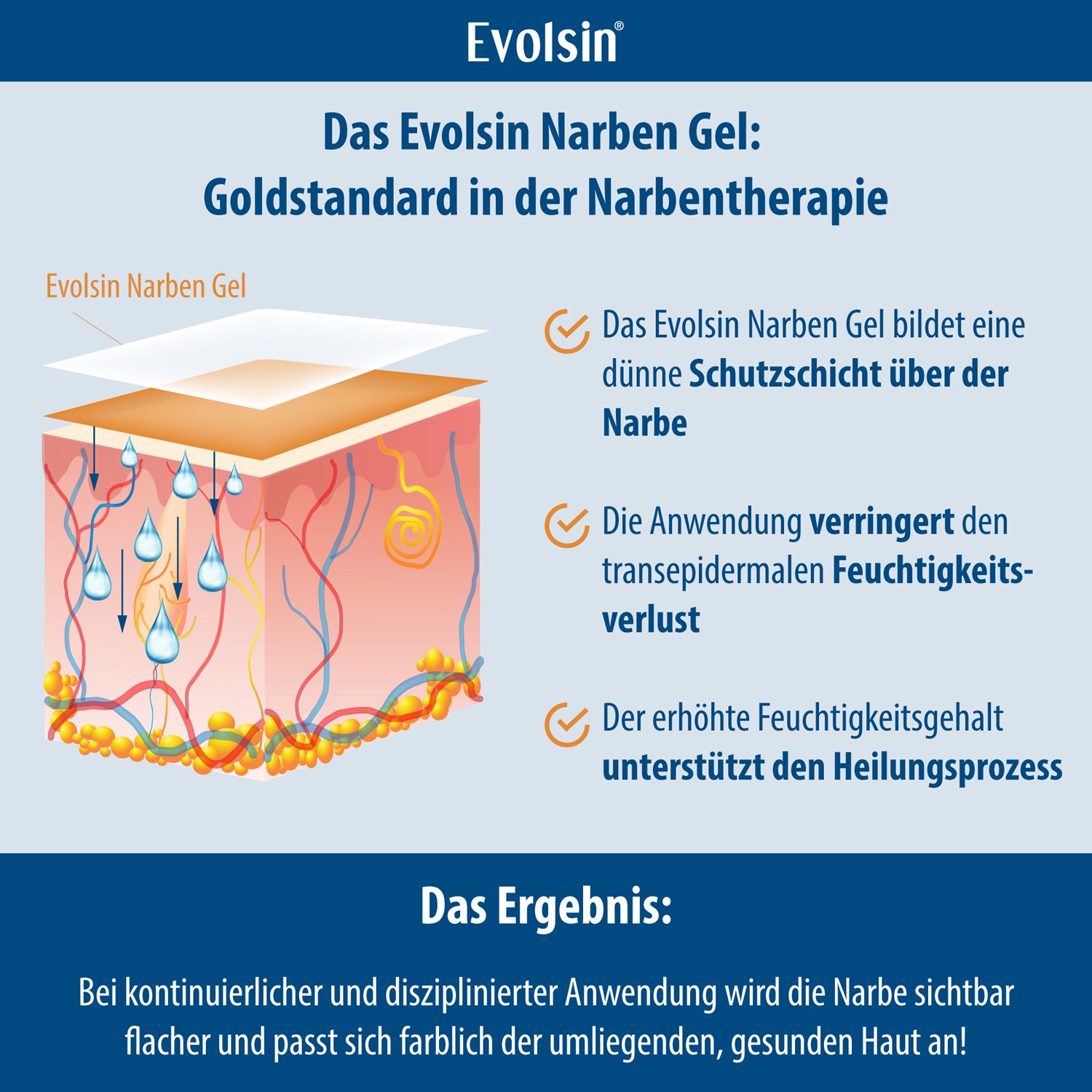 Evolsin® Narbengel für Kinder & Erwachsene – Narbensalbe reduziert die Sichtbarkeit von Narben – Narbencreme für Narben aller Art