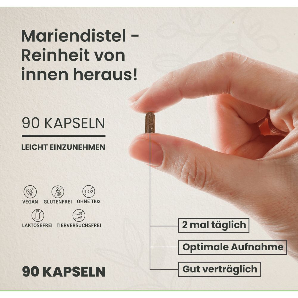 CYB Mariendistel
