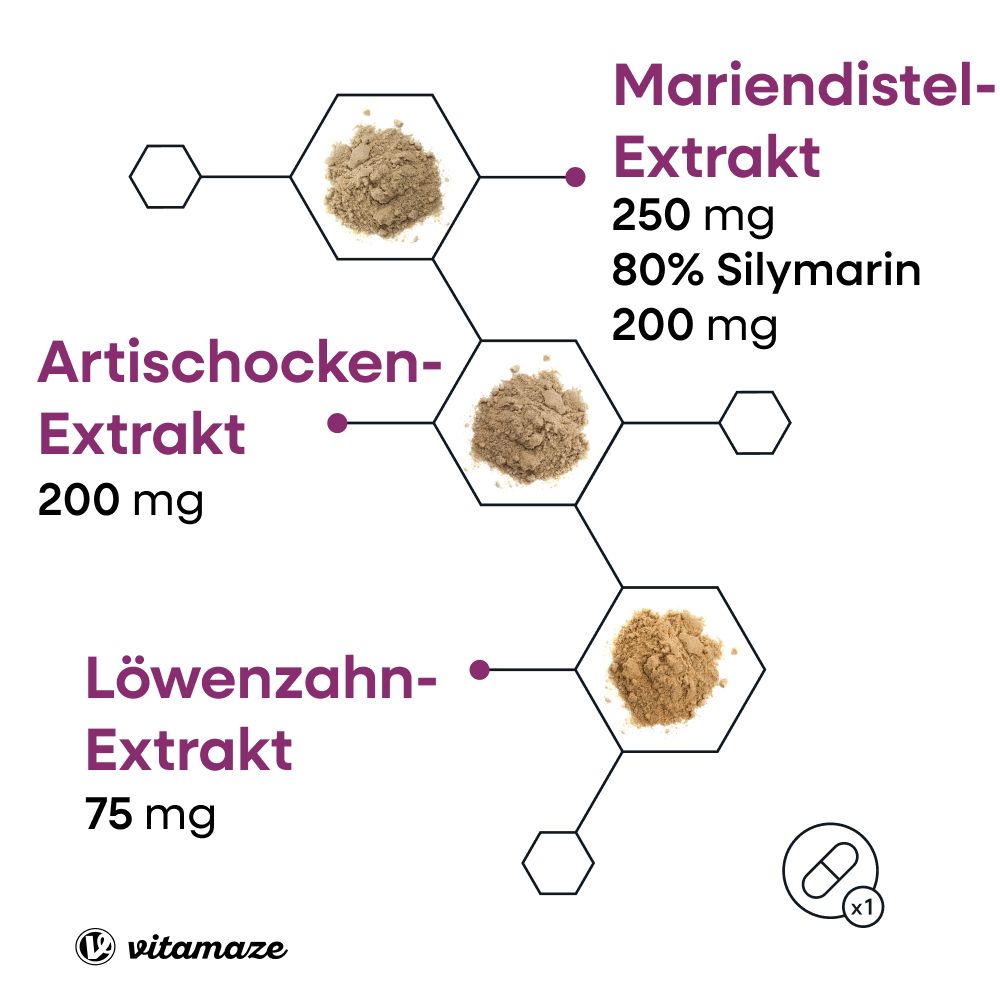 Grafische Darstellung der Inhaltsstoffe: Mariendistel-, Artischocken- und Löwenzahnextrakt. Mengen in mg.