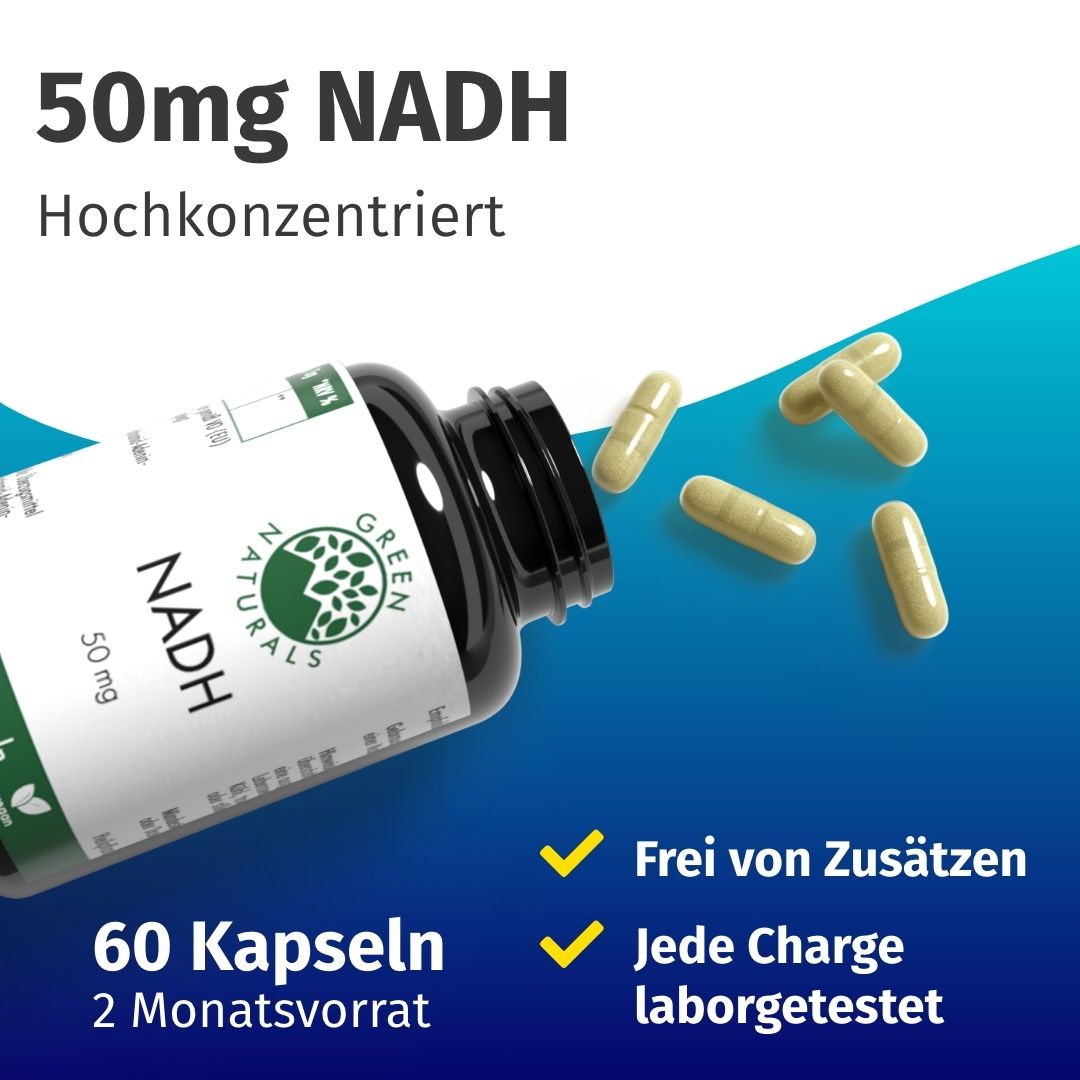 Flasche mit 60 NADH Kapseln (50 mg), 2 Monate Vorrat, laborgetestet, frei von Zusätzen.