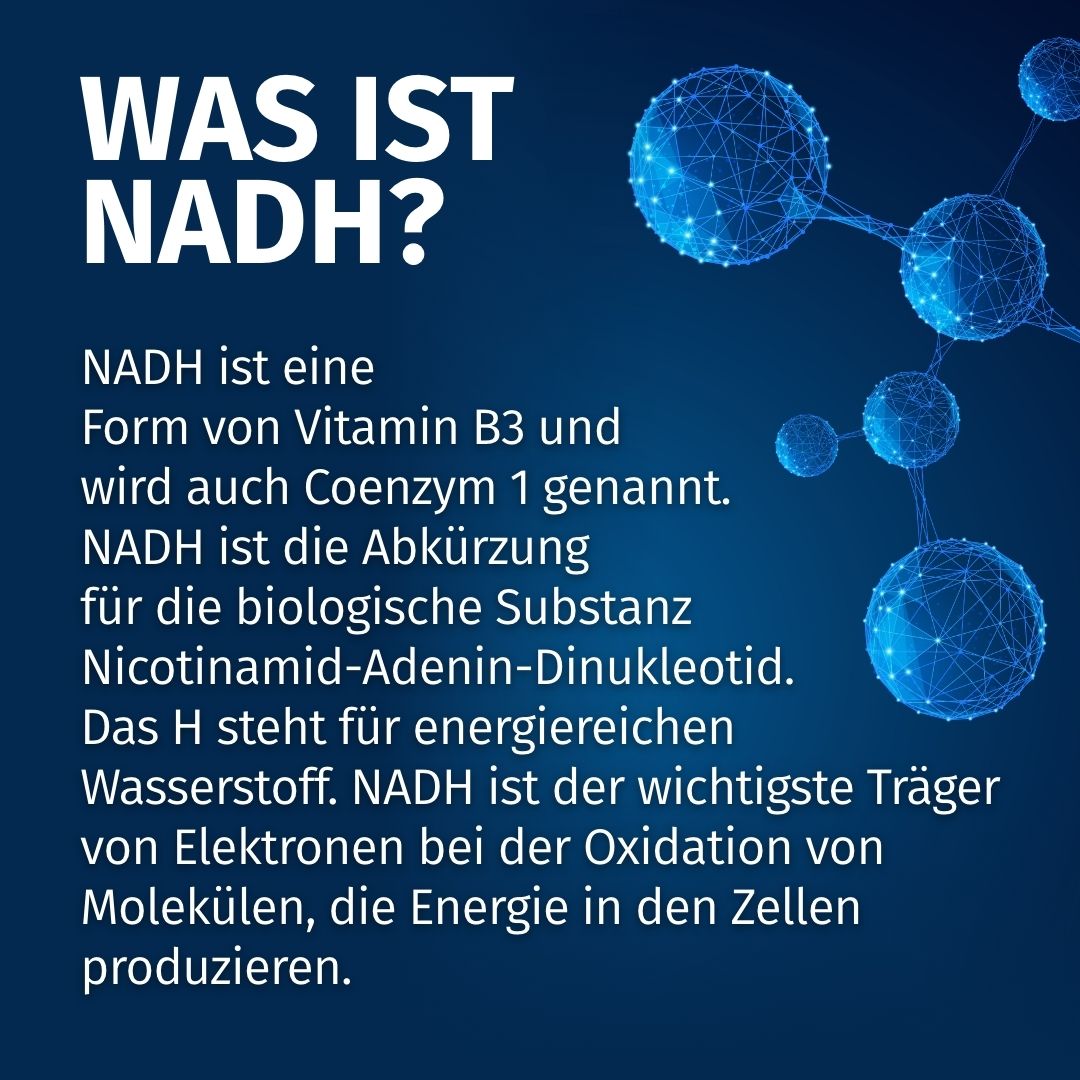 Molekulare Darstellung von NADH, mit Erklärung: Vitamin B3, Coenzym 1, Nicotinamid-Adenin-Dinukleotid.