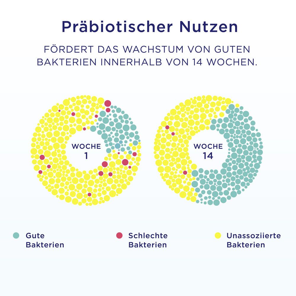 Grafik: Präbiotischer Nutzen. Diagramm zeigt Wachstum guter Bakterien nach 1 und 14 Wochen. Farben: gelb, blau, rot.