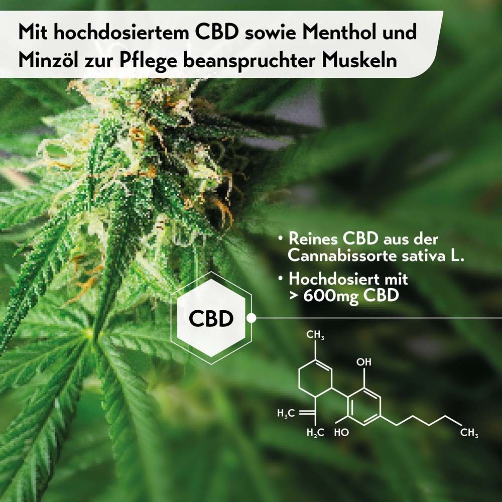 Nahaufnahme von Cannabisblüten. Text: Reines CBD aus Cannabis sativa L. >600mg CBD. Chemische Formel.
