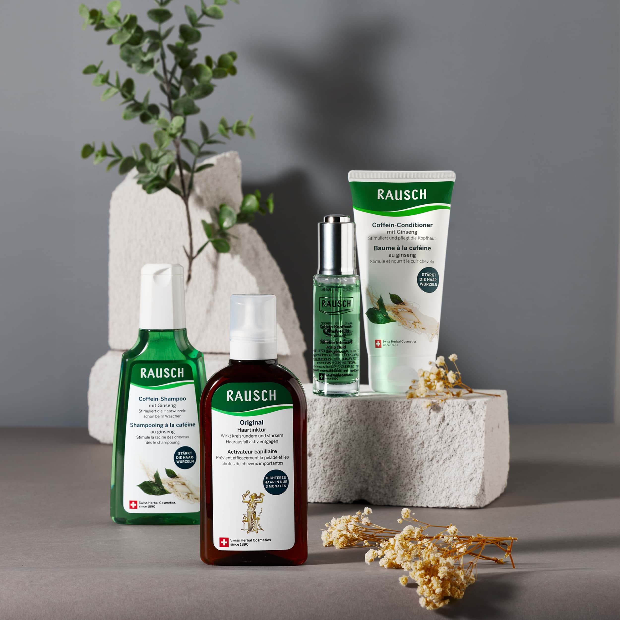 Rausch Haarpflegeprodukte: Shampoo, Spülung, Elixier und Haarkur in Flaschen und Tuben.