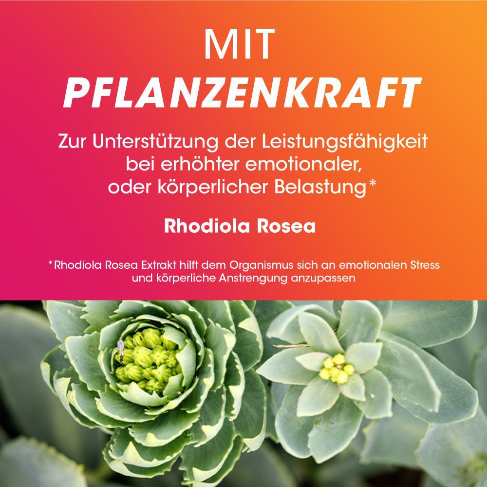 Text: Mit Pflanzenkraft. Rhodiola Rosea. Zur Unterstützung bei emotionaler, oder körperlicher Belastung.