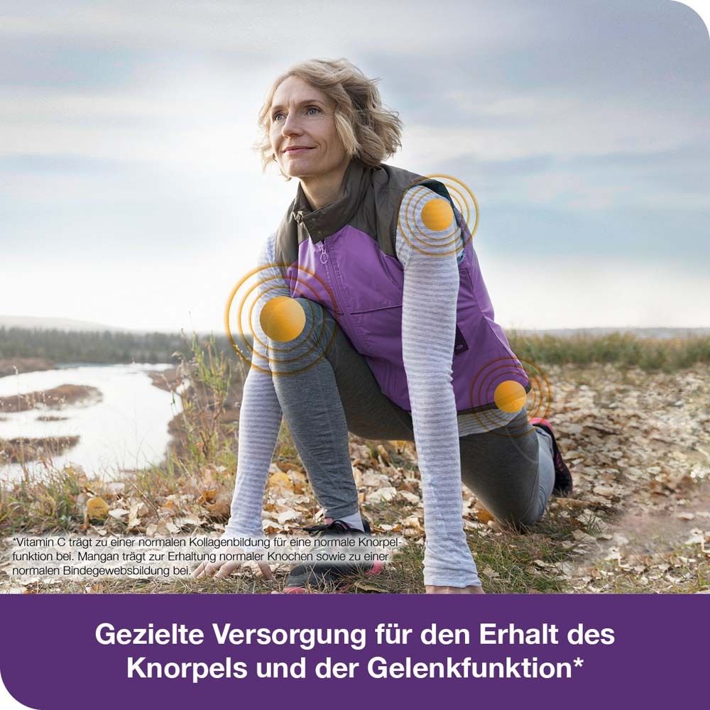 Kreisförmige Grafik. Zeigt Inhaltsstoffe wie Chondroitin, Vitamin C und UC-II® (Kollagen Typ II).