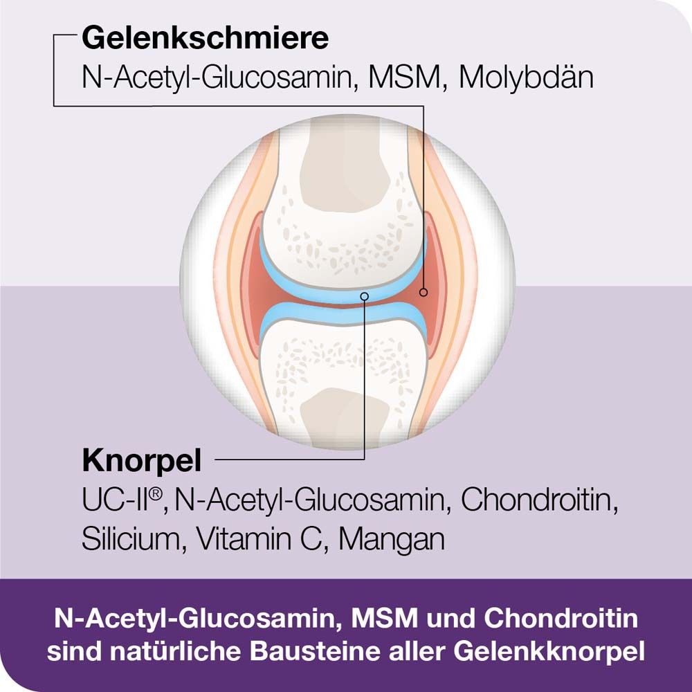 Foto von Bambuswald. Text: Bambus-Extrakt - Bambus ist reich an Silicium.
