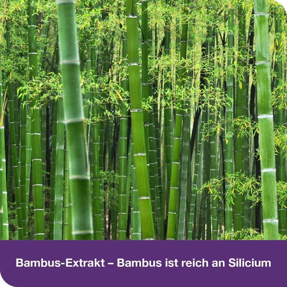 Logo von UC-II®. Text: UC-II® ist eine Marke von Lonza. Patentiertes UC-II® enthält Kollagen Typ II.