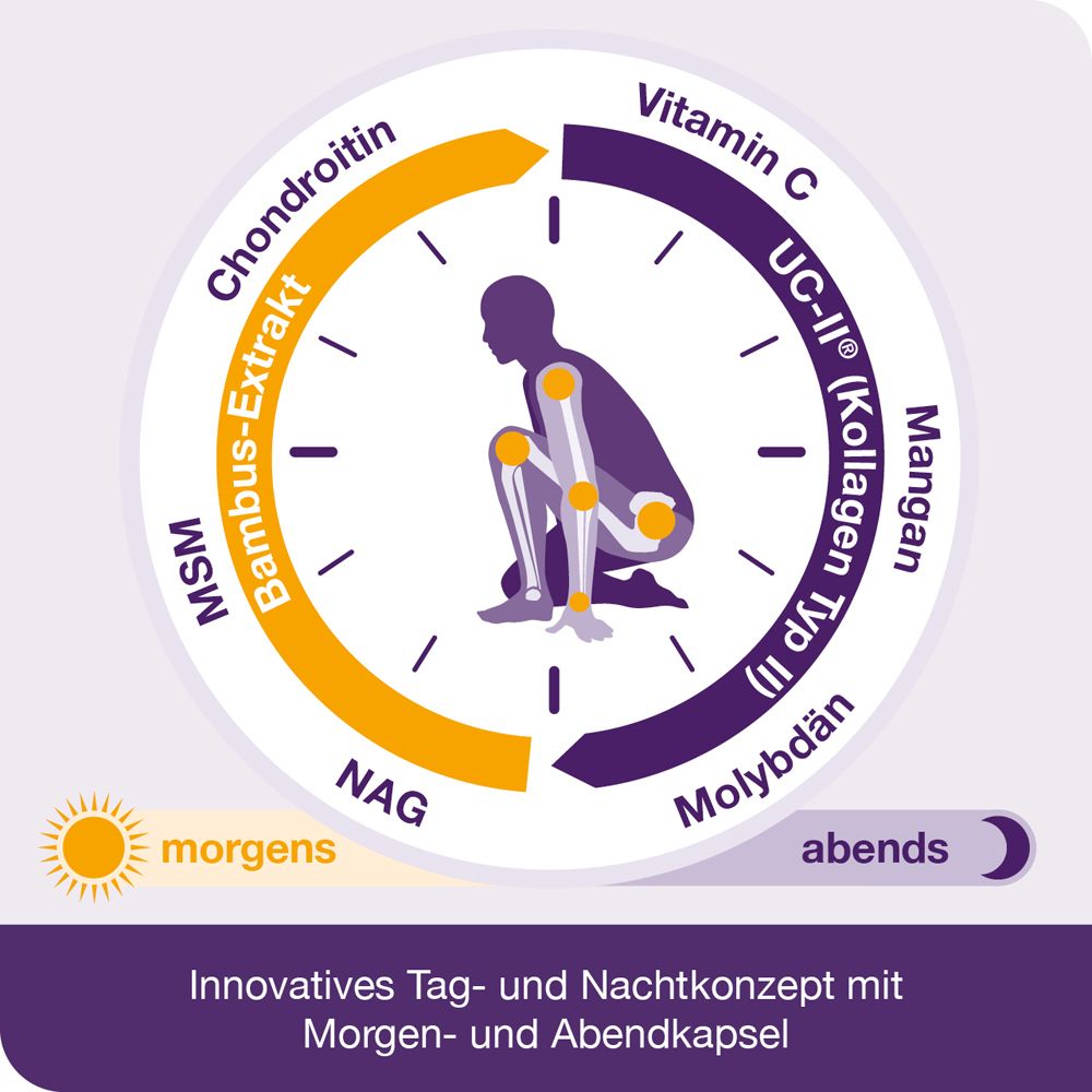Kreisförmige Grafik mit Inhaltsstoffen. Morgen- und Abendkapsel-Konzept. Text: Innovatives Tag- und Nachtkonzept.
