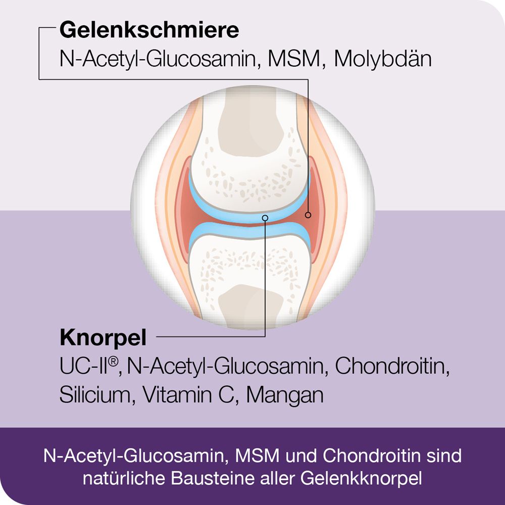 Illustration eines Gelenks. Text: Gelenkschmiere, Knorpel. Inhaltsstoffe: MSM, UC-II, Chondroitin, etc.