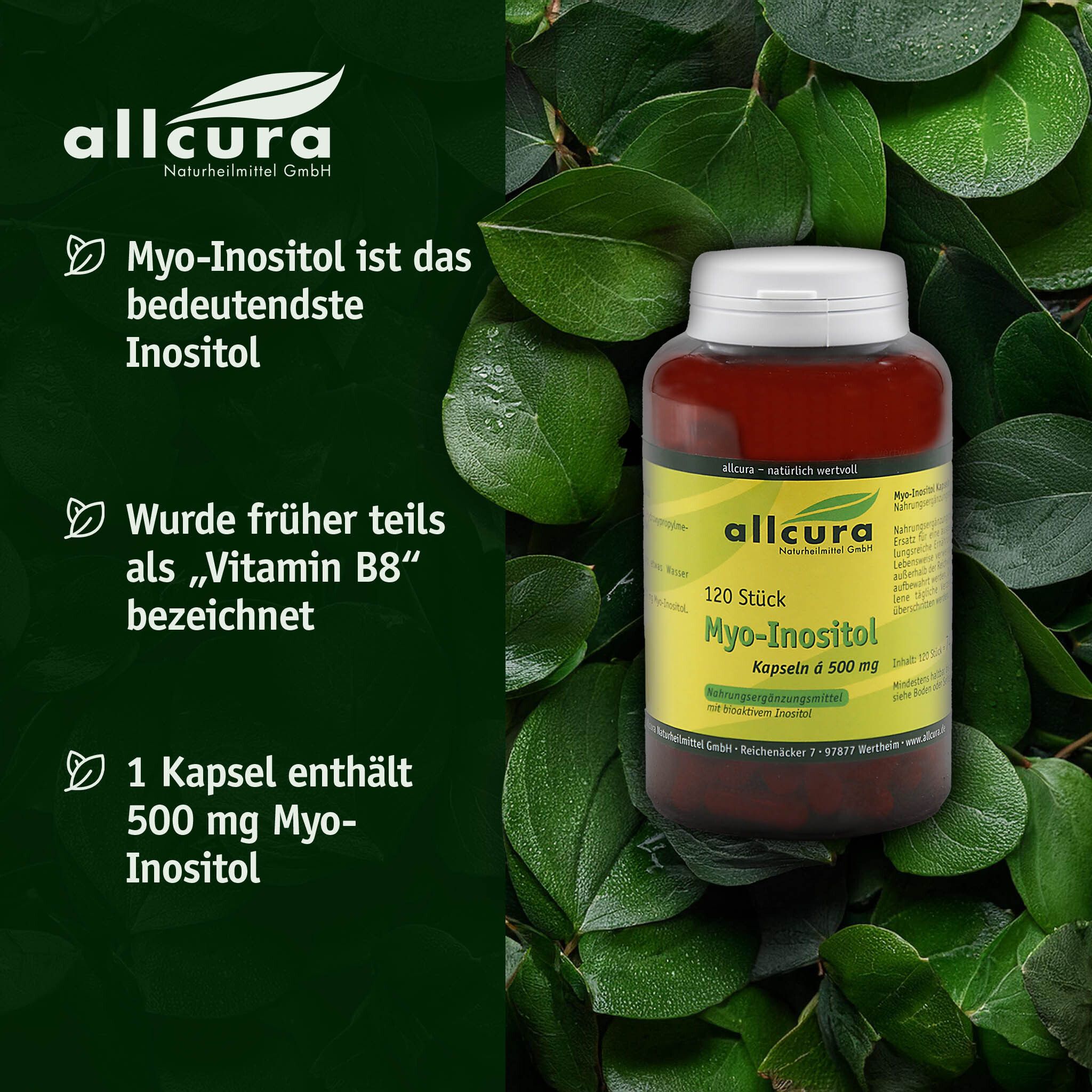 Braune Flasche mit weißem Deckel, umgeben von grünen Blättern. Text: Myo-Inositol ist das bedeutendste Inositol.