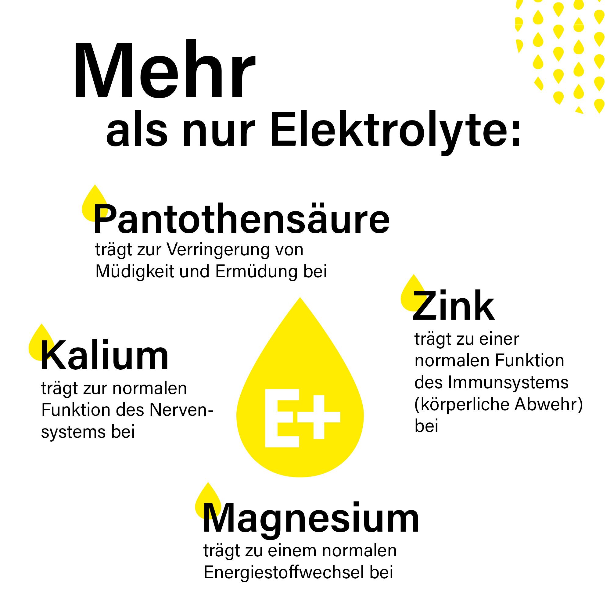Gelber Hintergrund mit Text über Inhaltsstoffe: Pantothensäure, Kalium, Zink und Magnesium.