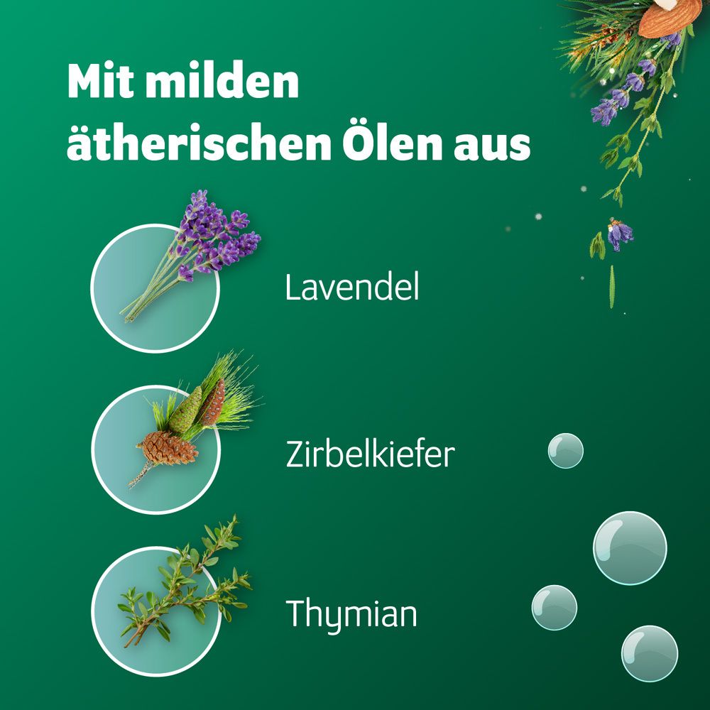 Illustration von Lavendel, Zirbelkiefer und Thymian, mit Text: Mit milden ätherischen Ölen aus.