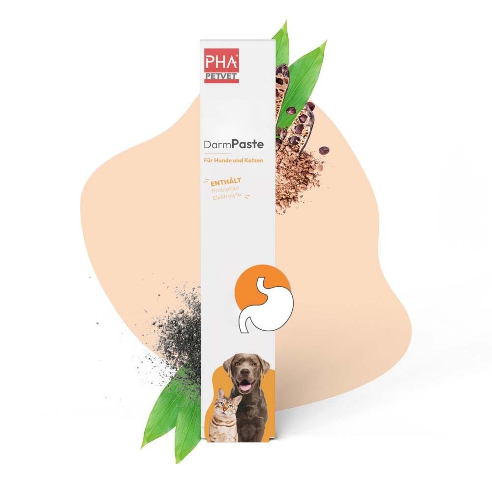 Weiße Verpackung mit Produktnamen und Logo. Abbildung von Hund und Katze. Text: DarmPaste, für Hunde und Katzen. Hintergrund mit Blättern.