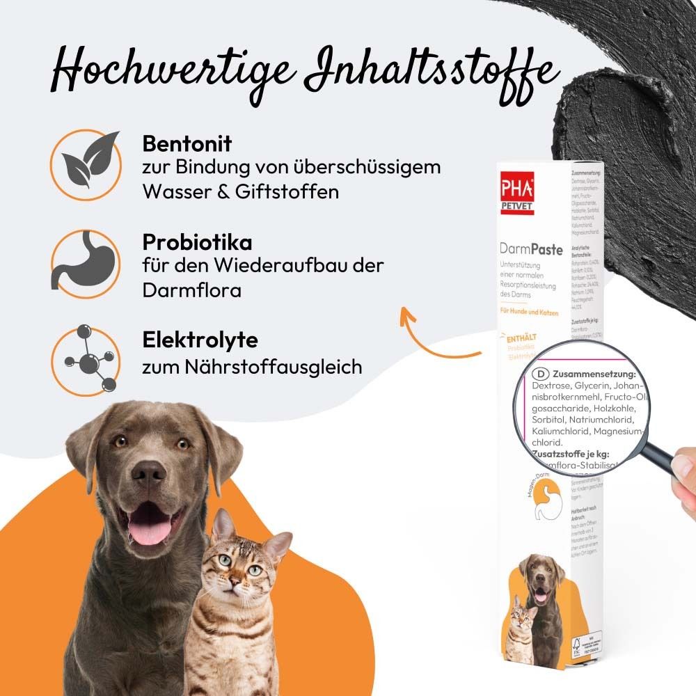 Text mit Produktinformationen und Abbildung von Hund und Katze. Text: DarmPaste, für Hunde und Katzen. Lupe zeigt Inhaltsstoffe.