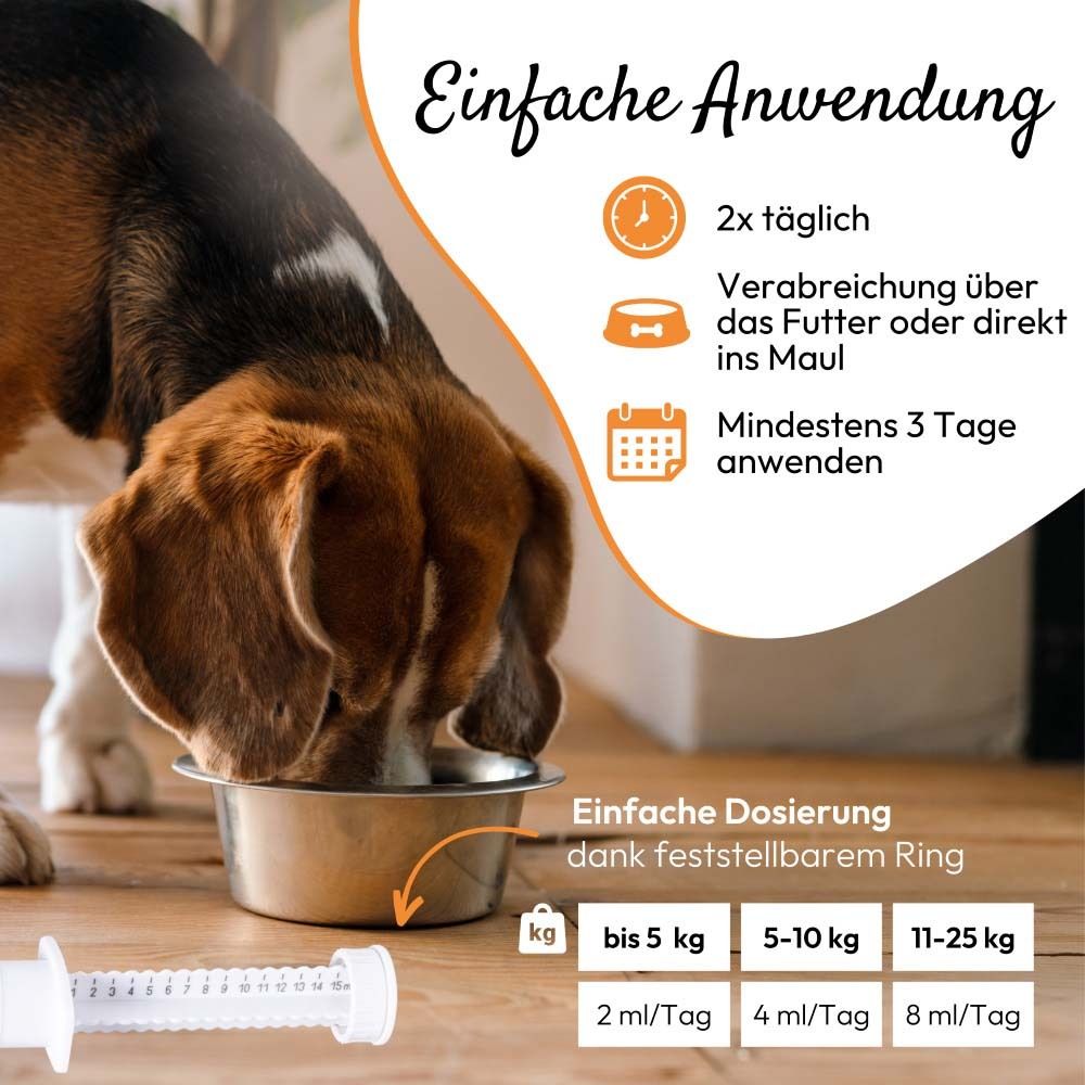 Hund frisst aus Napf. Spritze mit Dosierung. 2x täglich, über Futter oder direkt ins Maul.