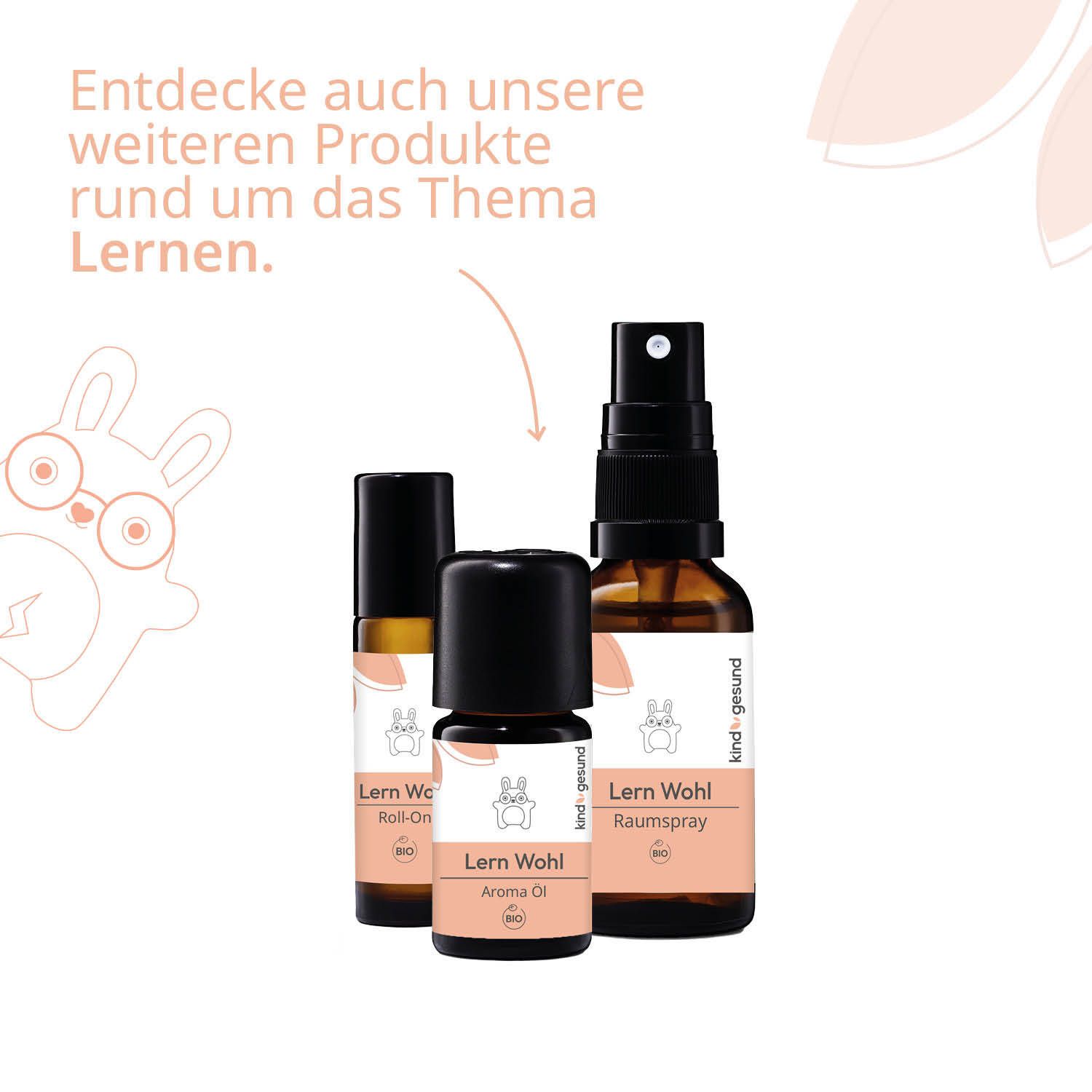 kindgesund® Bio-Lern Wohl Raumspray