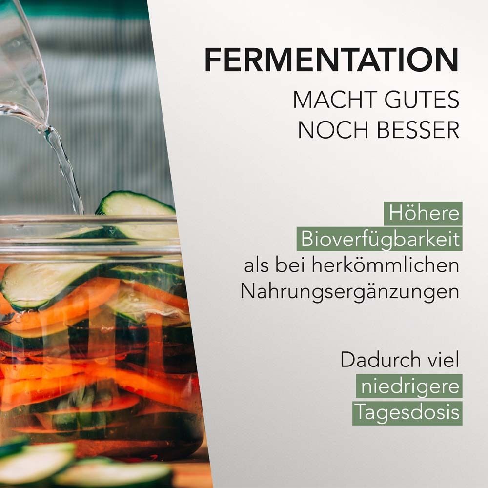 Glas mit Gemüse und Text über Fermentation. Höhere Bioverfügbarkeit, niedrigere Tagesdosis.