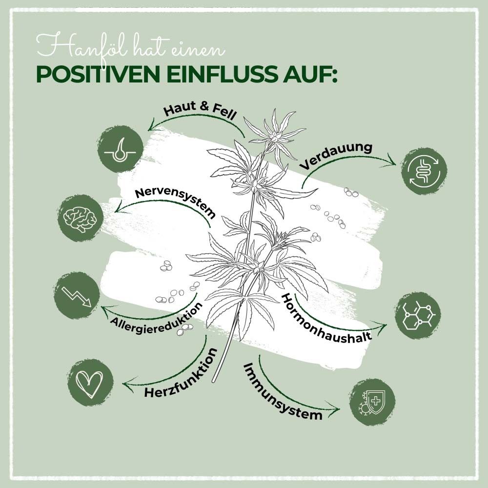 Infografik mit Pfeilen und Icons. Themen: Haut & Fell, Verdauung, Nervensystem, etc. Grüner Hintergrund.