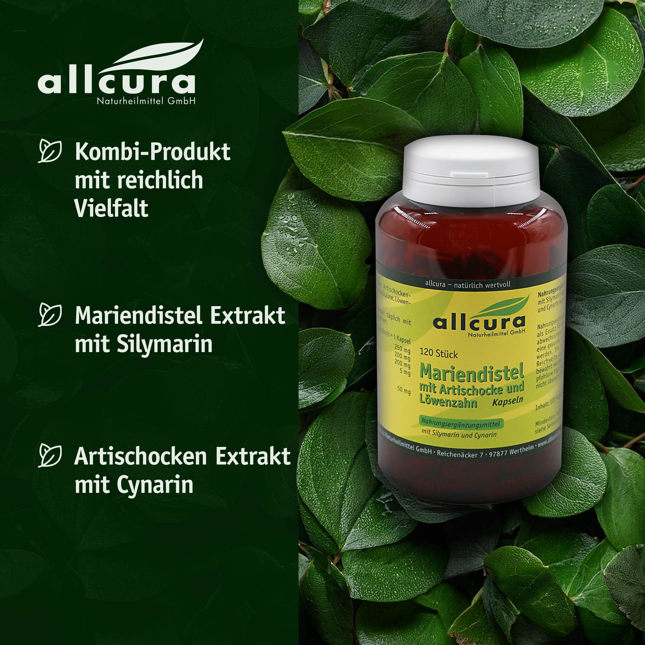 Braune Flasche mit weißem Deckel, umgeben von grünen Blättern. Aufschrift: allcura Mariendistel mit Artischocke und Löwenzahn.