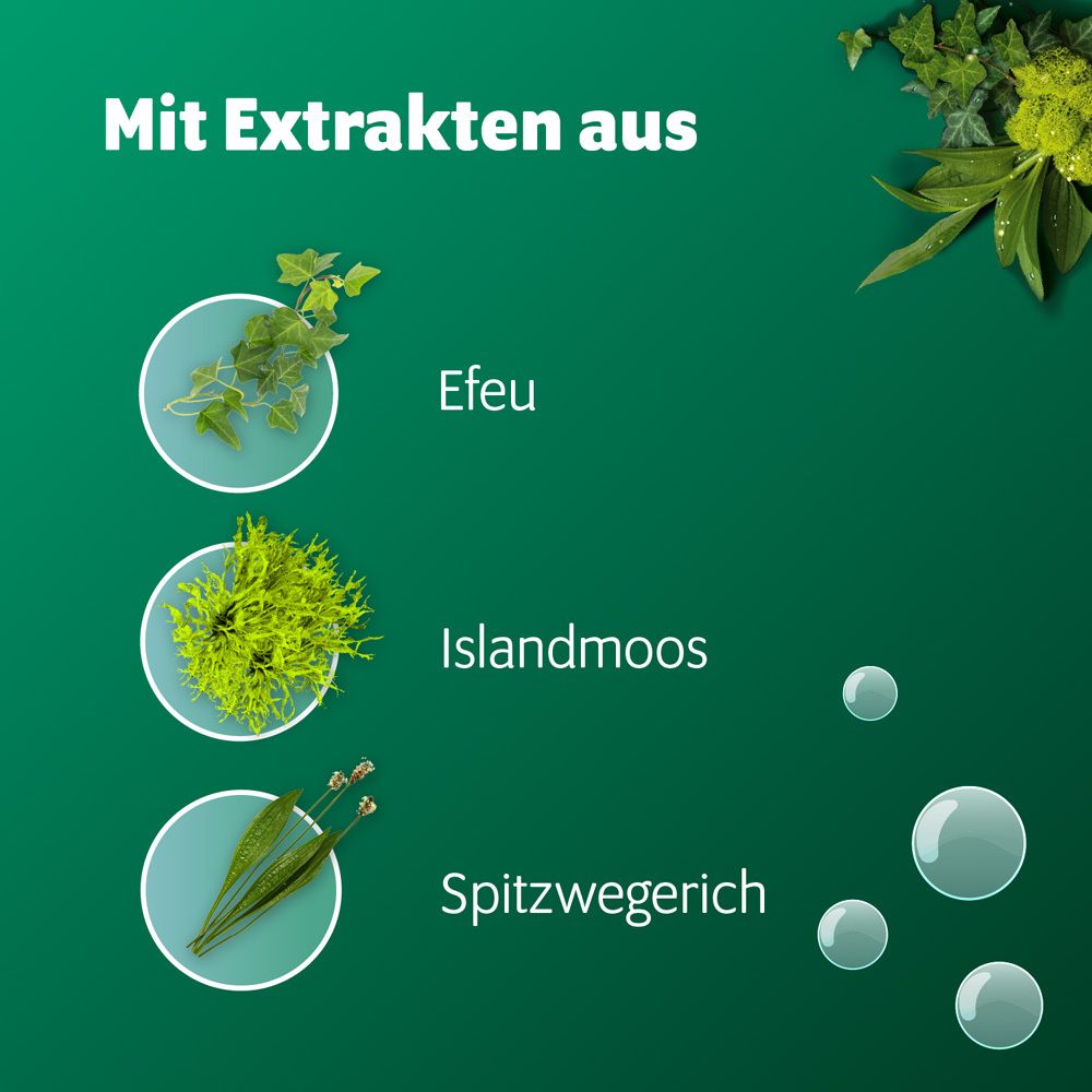 Abbildung von Efeu, Islandmoos und Spitzwegerich. Text: „Mit Extrakten aus“.