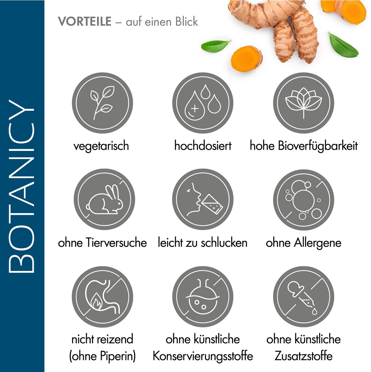 Graue Icons mit Produktvorteilen: vegetarisch, hochdosiert, hohe Bioverfügbarkeit.