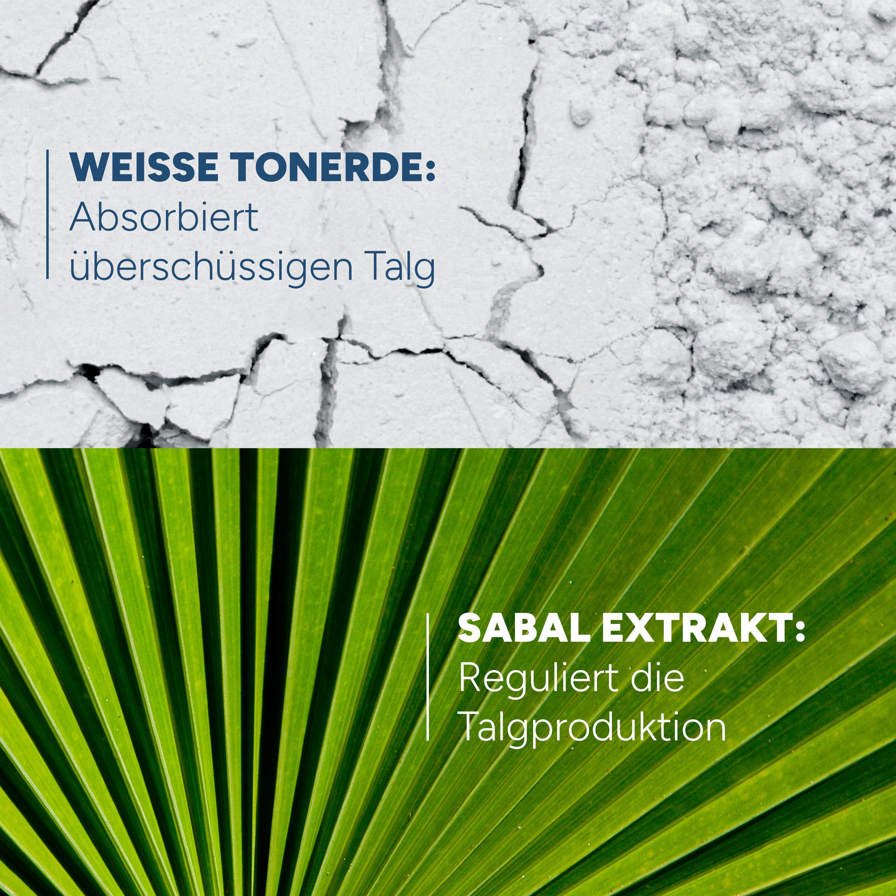 Zwei Bilder. Oben: Weiße Tonerde. Text: Absorbiert überschüssigen Talg. Unten: Sabal Extrakt. Text: Reguliert die Talgproduktion.