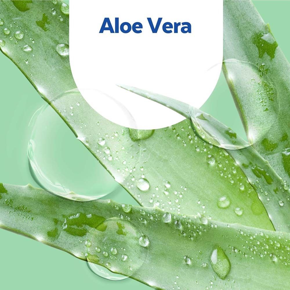 Aloe Vera Blätter mit Wassertropfen. Text: Aloe Vera.