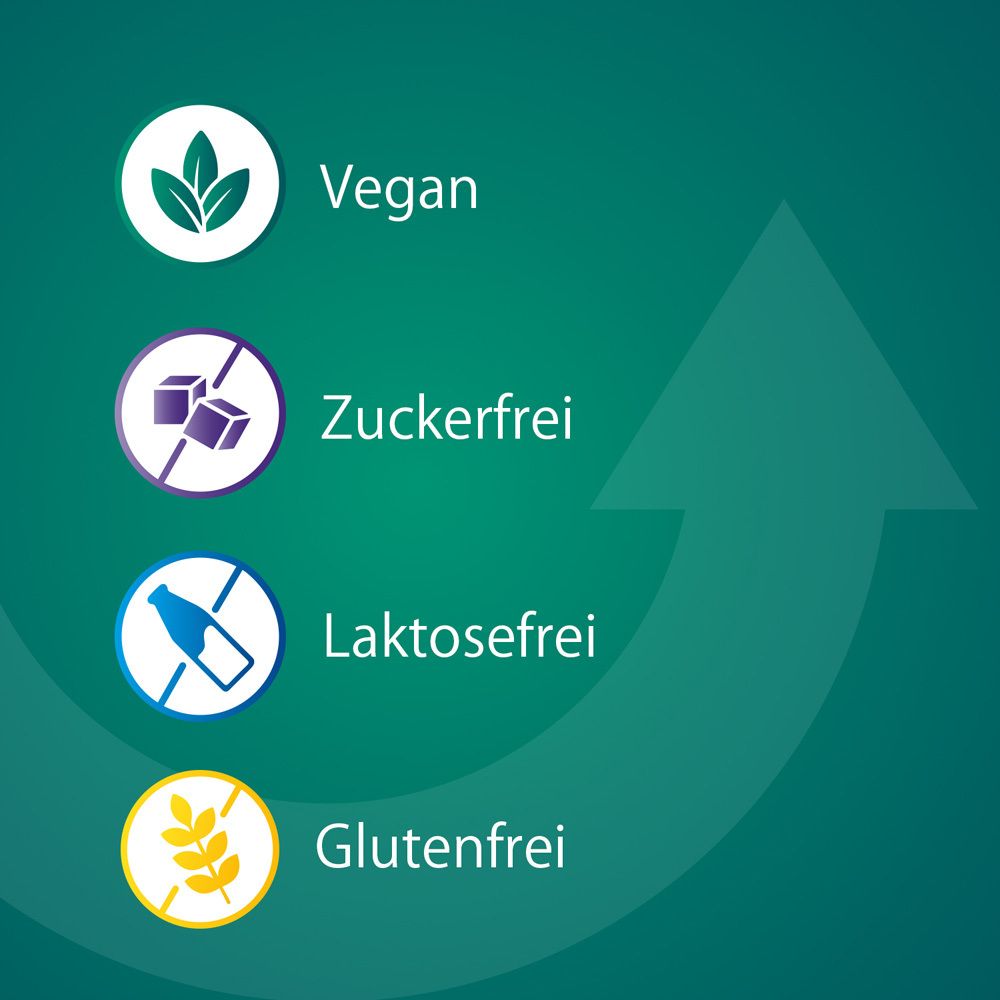 Icons: Vegan, zuckerfrei, laktosefrei, glutenfrei.