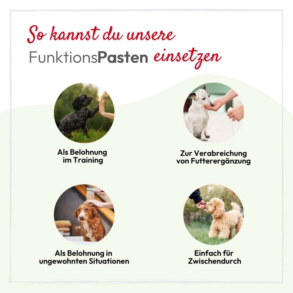 Vier Bilder zeigen Hunde in verschiedenen Situationen. Text: So kannst du unsere FunktionsPasten einsetzen.