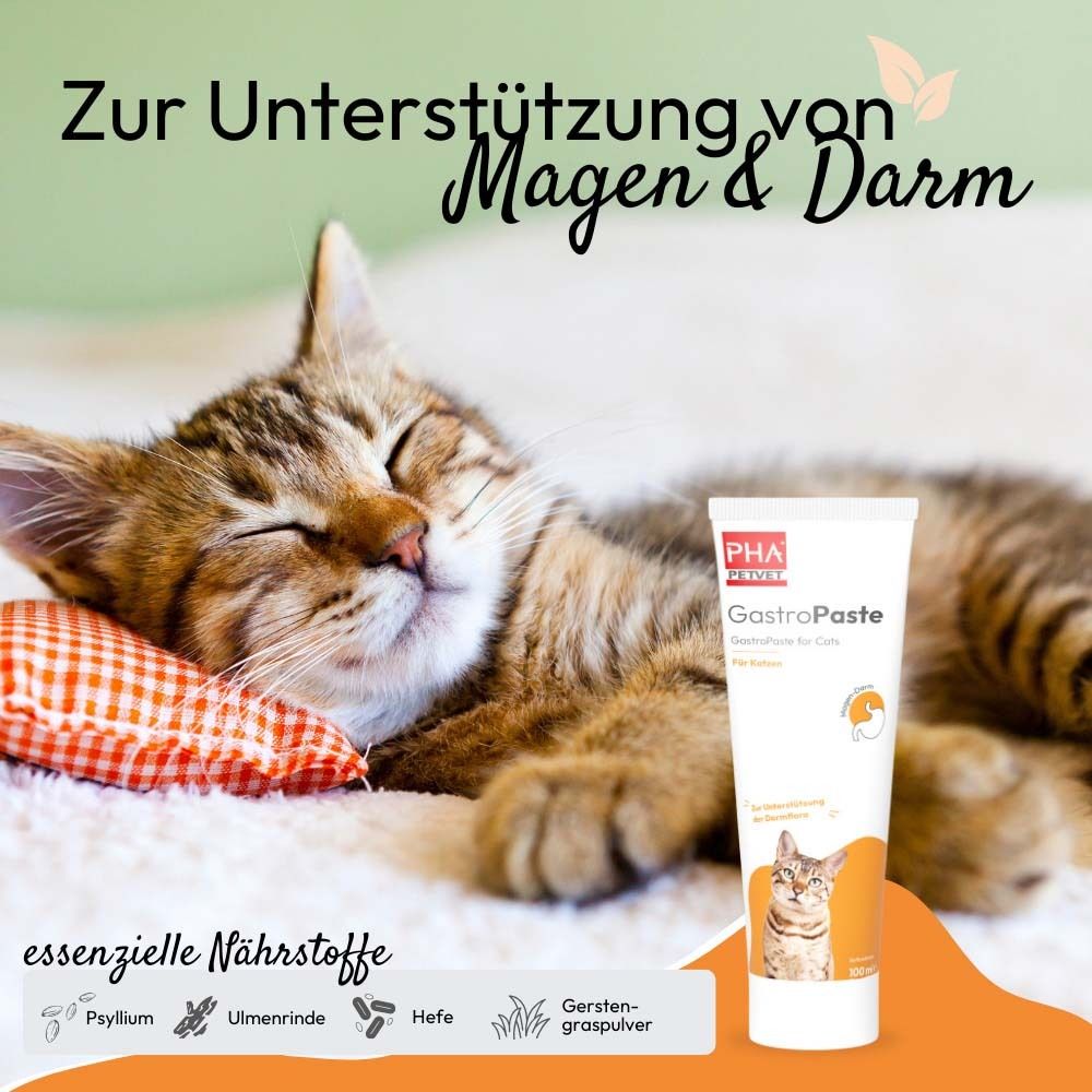 Katze schläft auf Kissen. Tube PHA PetVet GastroPaste für Katzen. Text: Zur Unterstützung von Magen & Darm.