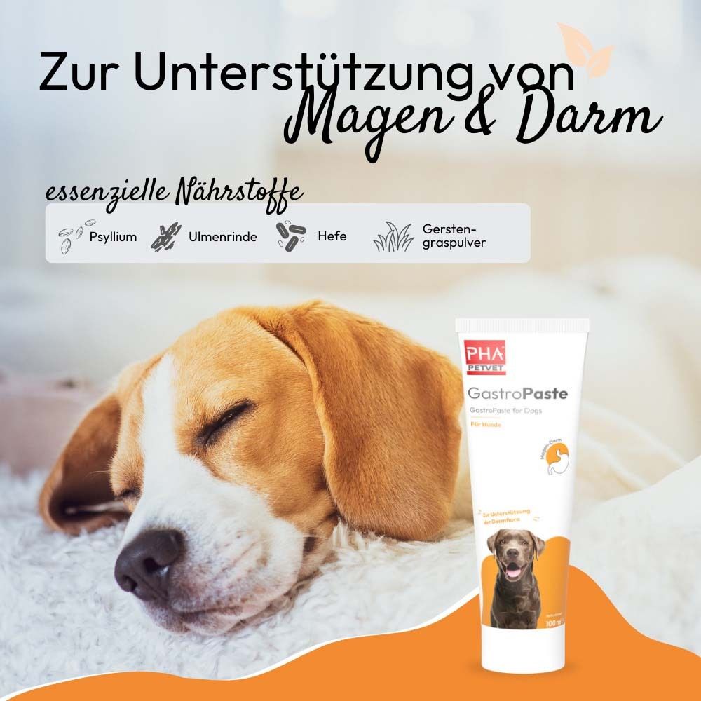 Hund liegt auf einer Decke. Daneben eine Tube mit Aufschrift PHA PetVet GastroPaste für Hunde. Text.