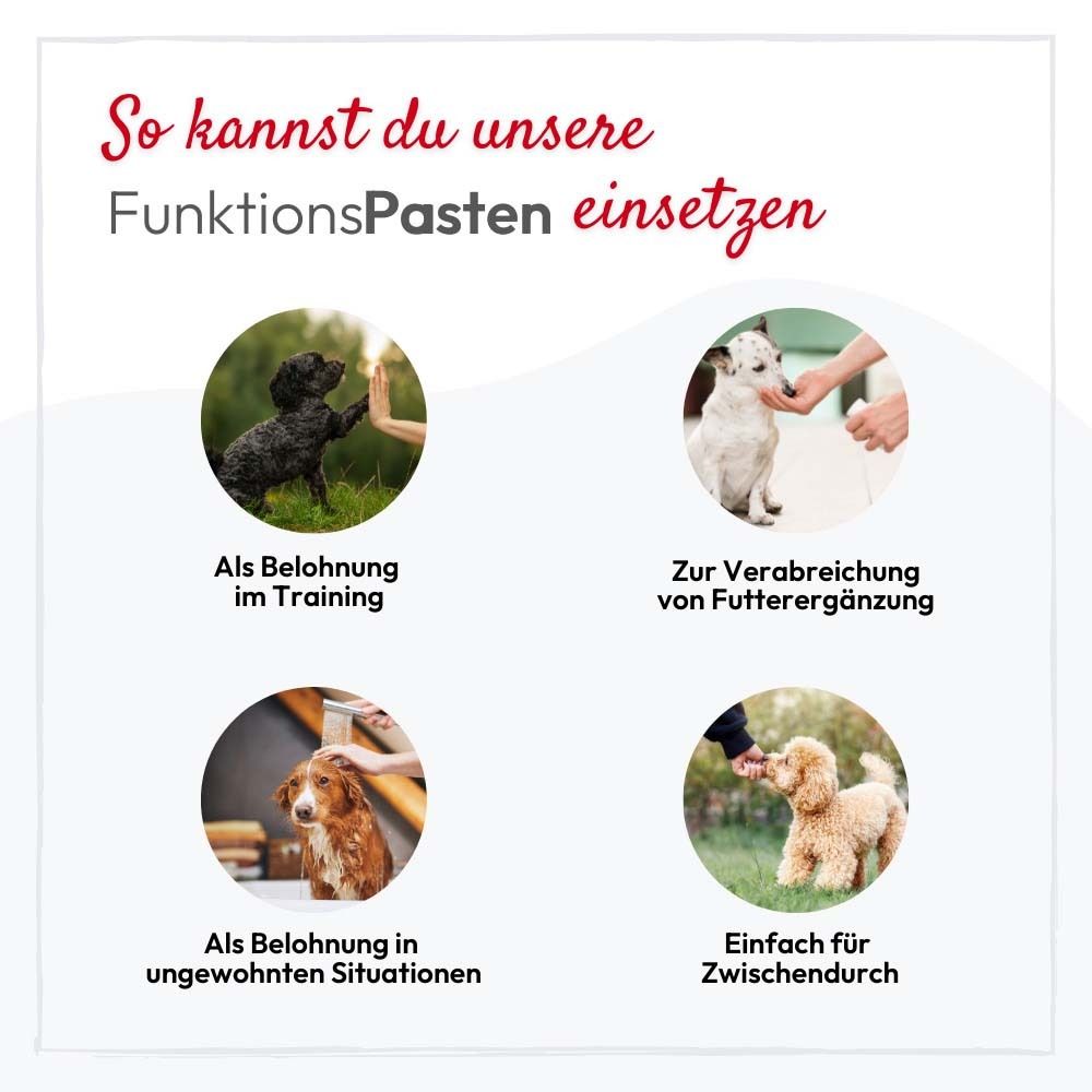Vier Bilder mit Hunden. Text: So kannst du unsere FunktionsPasten einsetzen. Als Belohnung, zur Futterergänzung, etc.