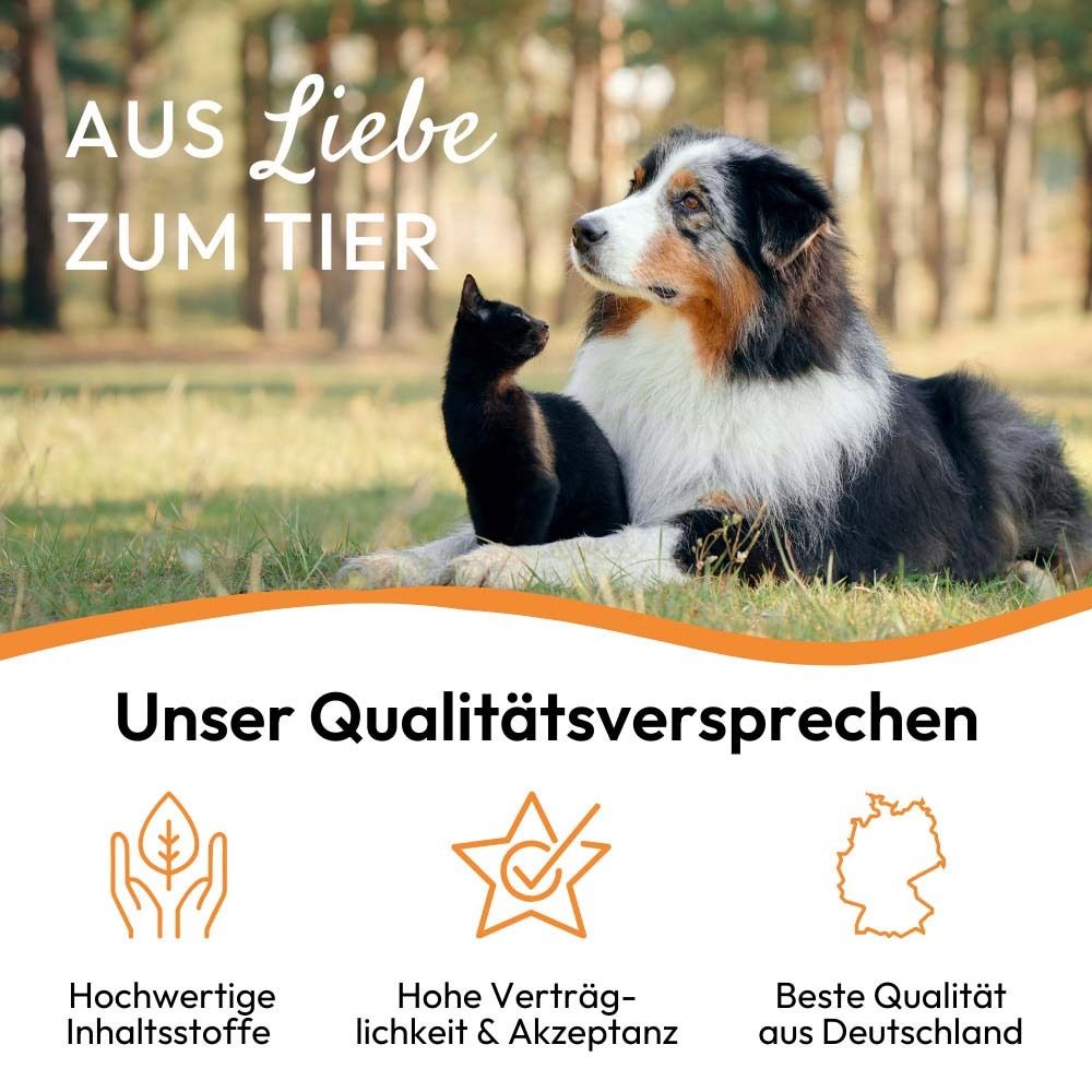 Hund und Katze sitzen im Gras. Text: Unser Qualitätsversprechen. Logos.