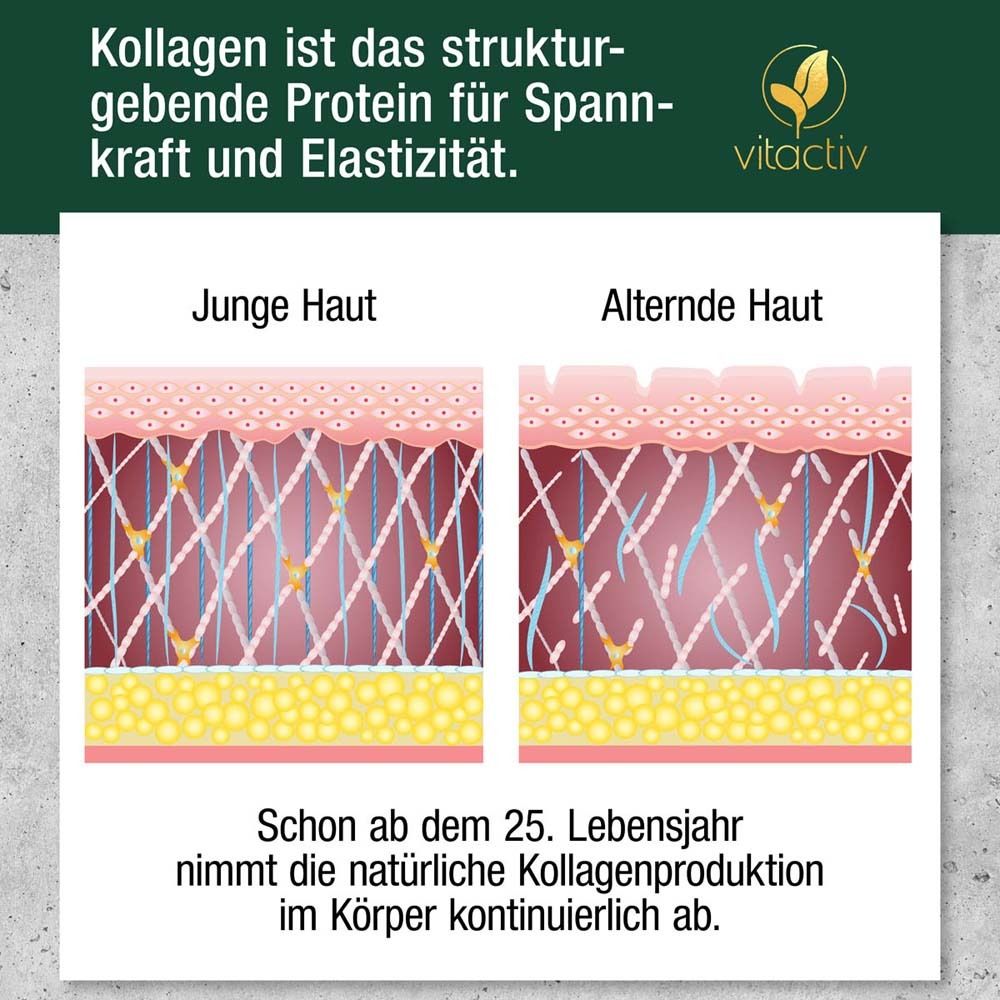 Grafik: Junge und alternde Haut. Text: Kollagen ist das strukturgebende Protein für Spannkraft und Elastizität. Logo: Vitactiv.
