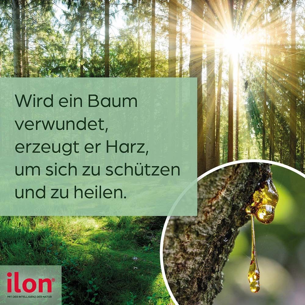 Waldlandschaft mit Sonne. Text: Wird ein Baum verwundet, erzeugt er Harz, um sich zu schützen und zu heilen. ilon® Logo.