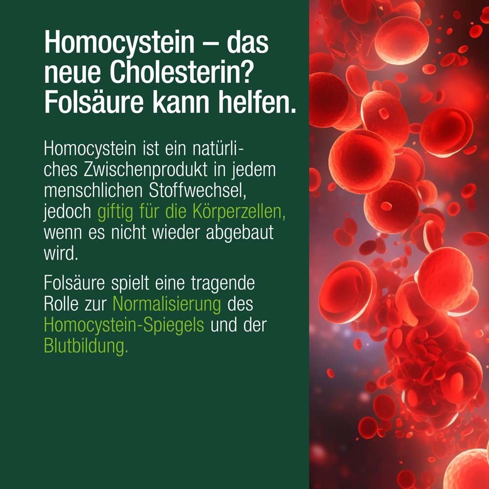 Rote Blutkörperchen. Text: Homocystein – das neue Cholesterin? Folsäure kann helfen.