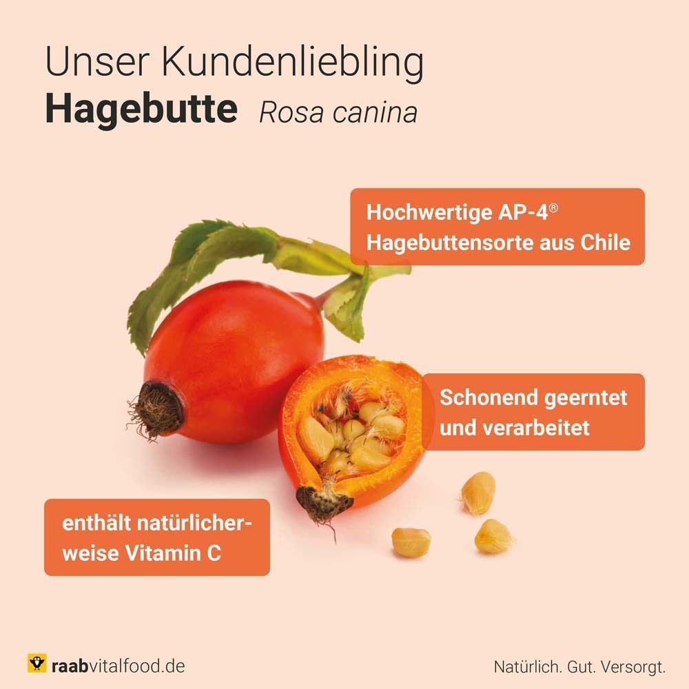 Hagebutte, halbiert. Rote Frucht mit Kernen. Enthält Vitamin C. Hochwertige Sorte.