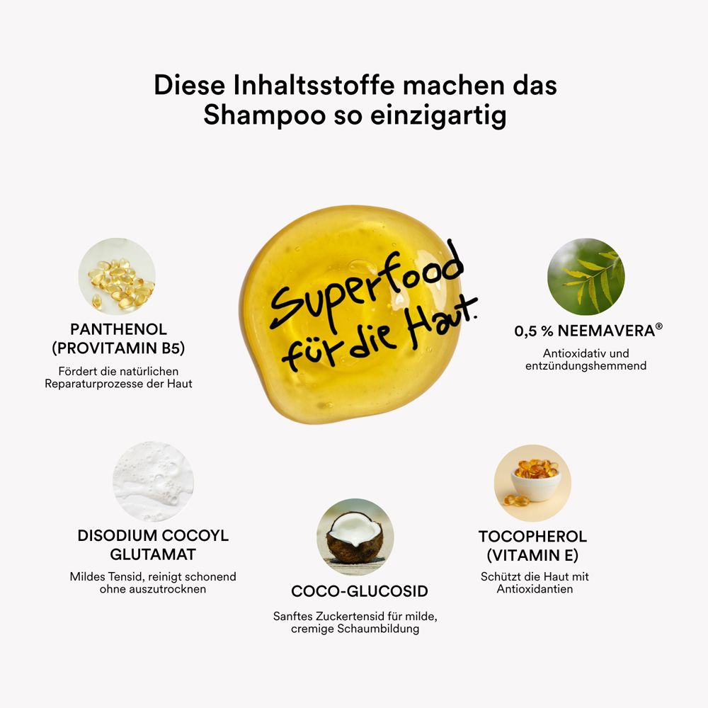 Infografik mit Inhaltsstoffen von natüür SHAMPOO: Panthenol, Neem-Extrakt, Tocopherol, Coco-Glucosid.
