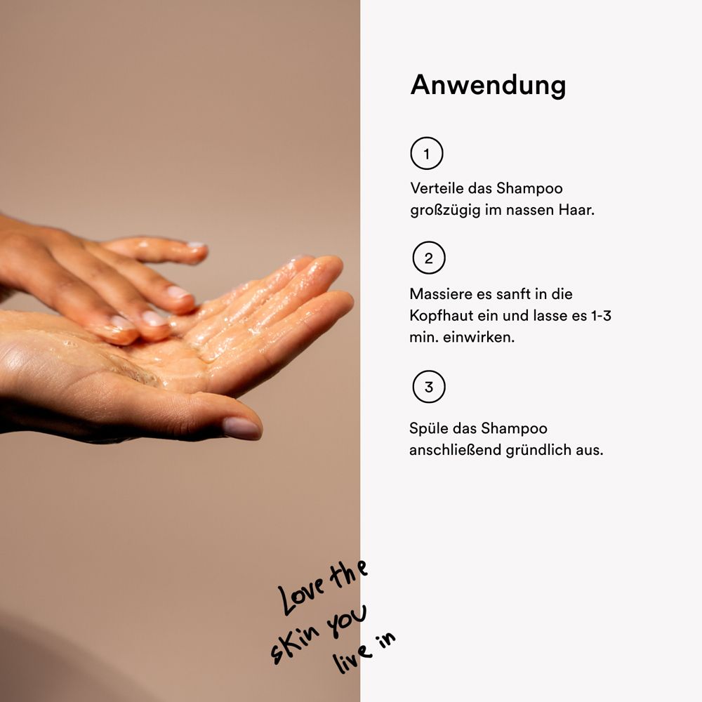 Hände verteilen Shampoo; Anwendungsanleitung in drei Schritten.