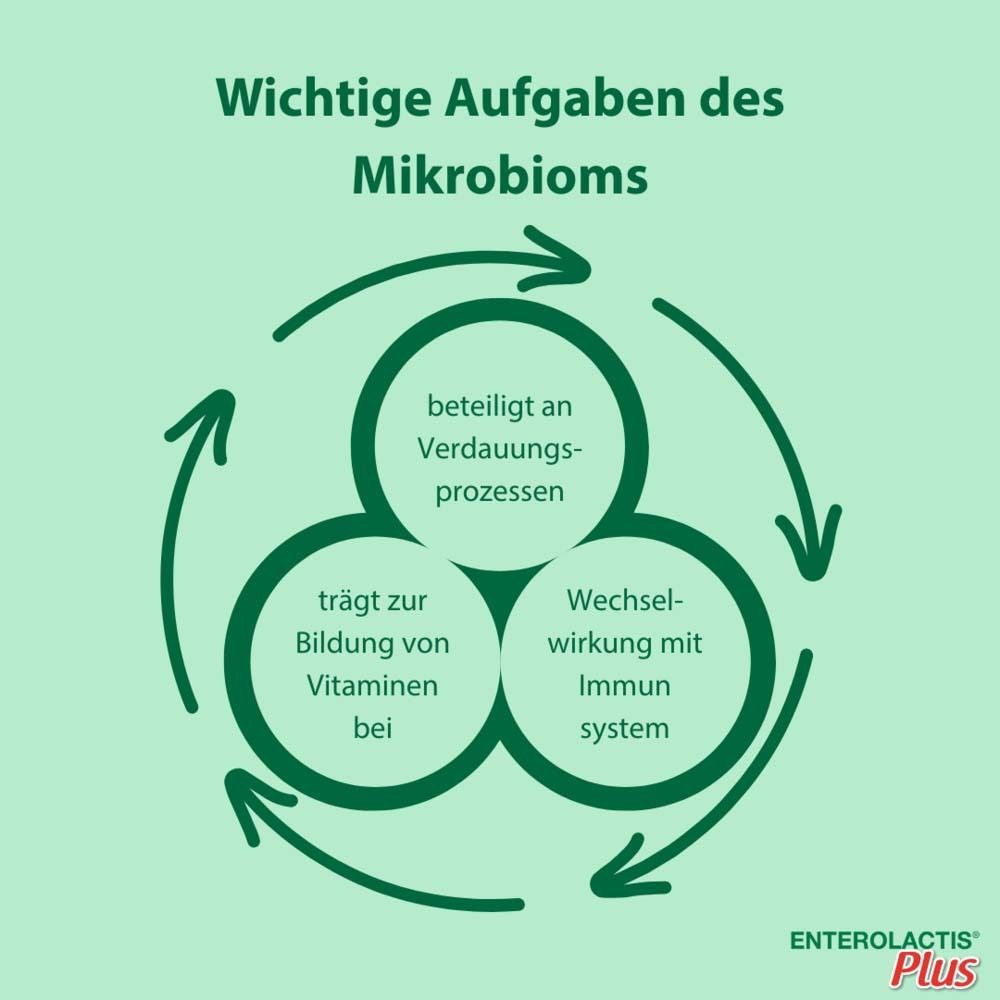 Grafik: Aufgaben des Mikrobioms. Kreislauf mit drei Kreisen: Verdauungsprozesse, Vitaminbildung, Immunsystem. Grüner Hintergrund.